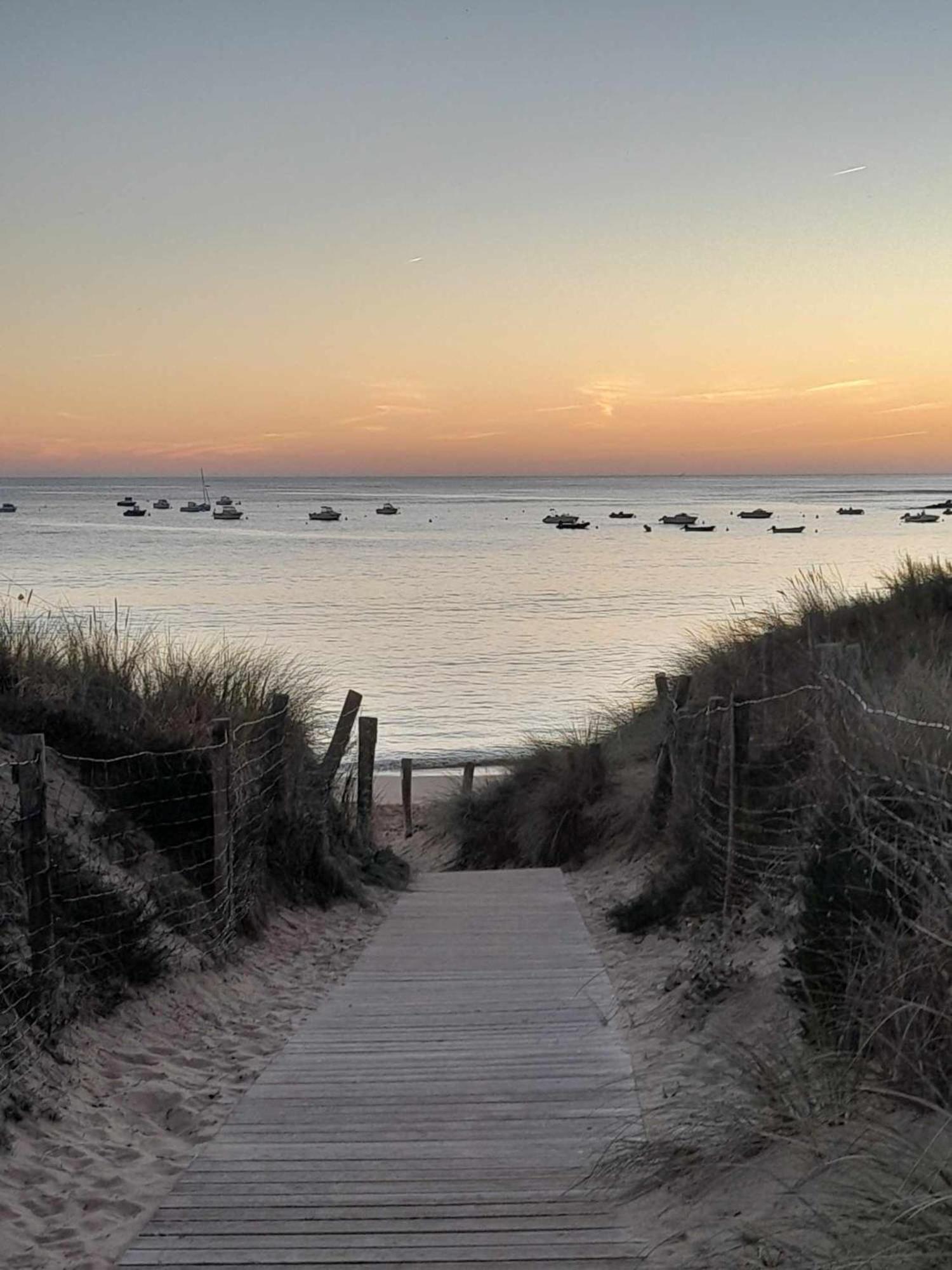 Appartement Aloha Ohana 4-6 Personnes A 400M De La Plage A Dolus D'Oleron エクステリア 写真